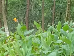 -艾溪湖湿地公园