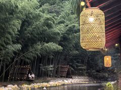 -永州阳明山国家森林公园