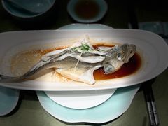 -十八棵（老龙井）御茶园(老龙井店)