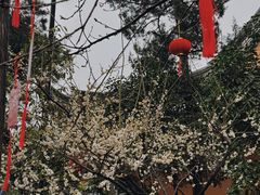 -龙华寺