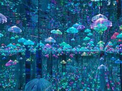 -深圳独角兽星空艺术馆