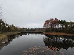 -长广溪湿地公园