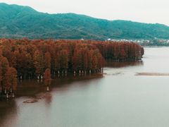 -四明湖