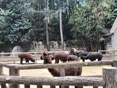 -昆明动物园
