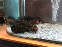 -大渔小鲜火锅店