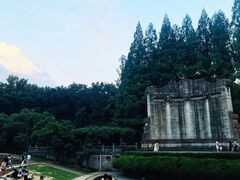 -音乐台