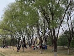 -永定河休闲森林公园