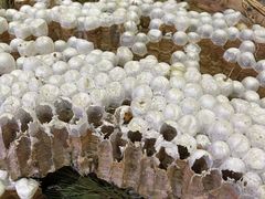 -银生食府·普洱菜(金星店)