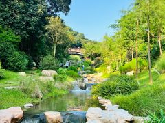 -云溪植物园