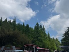 -日照海滨国家森林公园