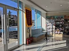 -德元·美联众合24小时动物医院(总院)