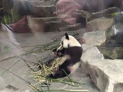 -宁波野生动物园