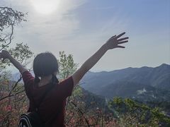 -木兰云雾山