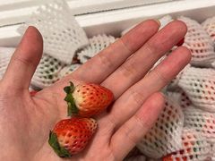 -蛮横肉蟹煲(印象城店)