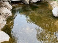 -黑龙潭风景区
