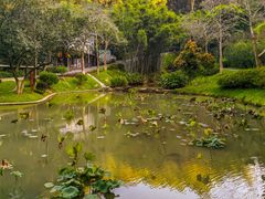 -火炉山森林公园