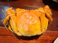 -乡乐园蟹庄·阳澄湖农家乐