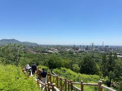 -白水寺森林公园