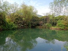 -龙坞茶村