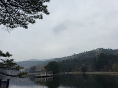 -庐山风景区花径公园