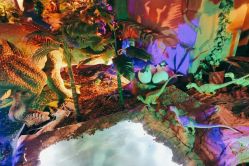 -恐龙探索乐园(磁器口店)