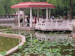 -丰台花园