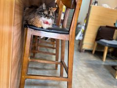 -雪月花(长江北路店)