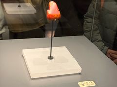 -贵州省博物馆(新馆)