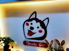 -Husky Go! 哈士奇体验馆·宠物咖啡厅狗咖
