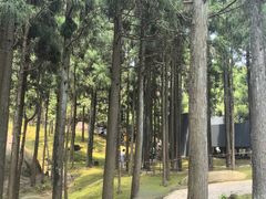-玉苍山国家森林公园