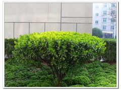 -陕西师范大学(雁塔校区)