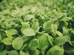 -苏州吴中太湖旅游区