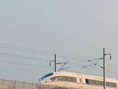 -光明小镇欢乐田园