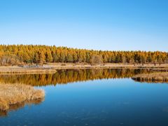 -塞罕坝国家级自然保护区