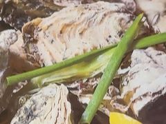 -杨氏青龙虾·羊蝎子(珠江路店)