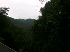 -四会奇石河风景区