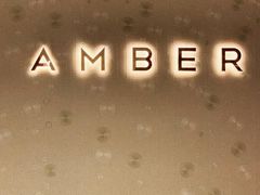 -Amber(置地文华东方酒店)