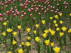 -长春公园(普阳街道)