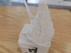 -野人先生Gelato(上海长宁龙之梦店)