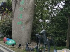 -溱湖国家湿地公园