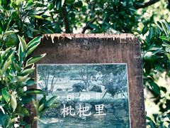 -南北湖风景区