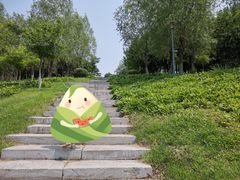-莫子山公园