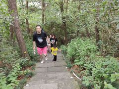 -千岛湖天屿景区