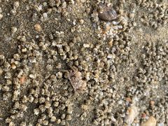 -有间冰室(侨港风情街店)