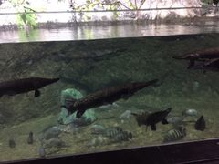 -杭州海底世界