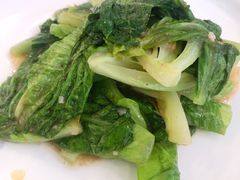 蚝油西生菜-天天渔港(杏林街店)