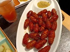 -杨记齐齐哈尔烤肉(五莲路店)