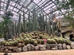 -南山植物园