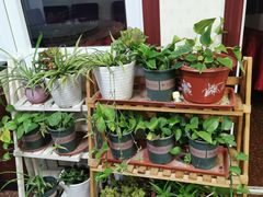 -北京龙庆四季香农家饭庄·灶台鱼·碳烤虹鳟鱼(龙庆峡店)