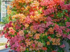 -天河客运站(地铁站)